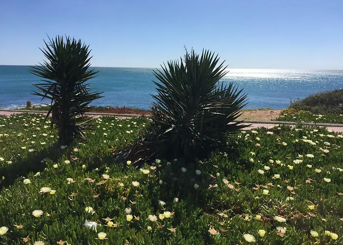 Seafront Dream