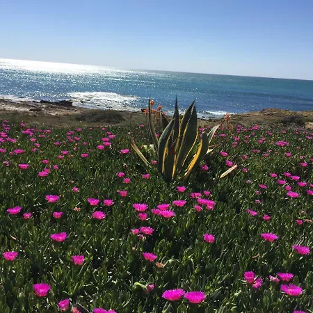 Lägenhet Seafront Dream *