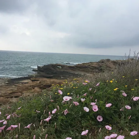 Seafront Dream Lägenhet Torrevieja