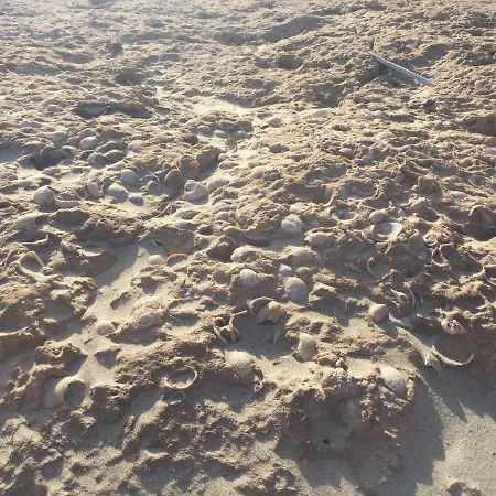 Lägenhet Seafront Dream