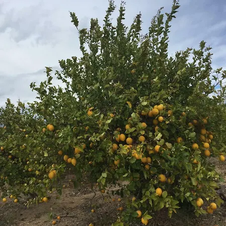 Lägenhet Seafront Dream *