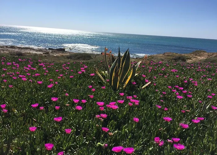 Apartamento Seafront Dream *