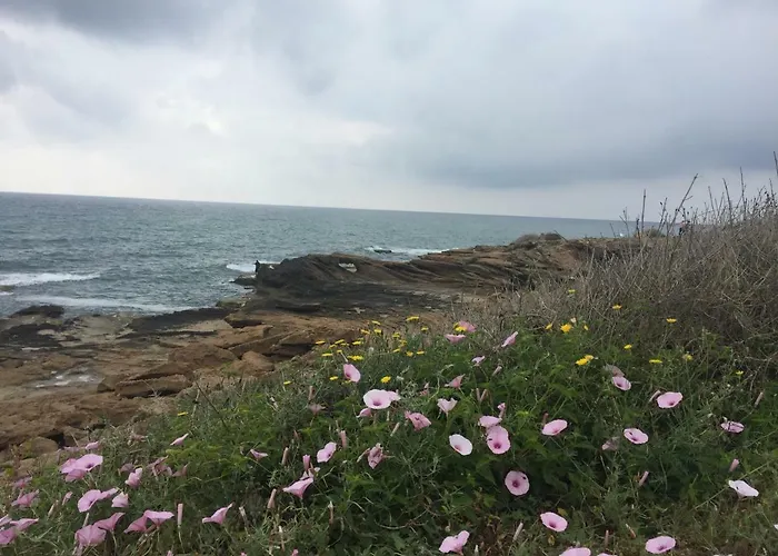 Seafront Dream Apartamento Torrevieja