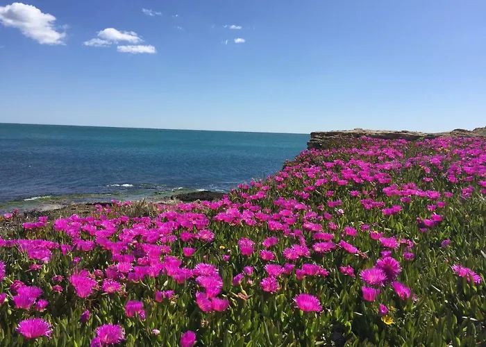 Seafront Dream Апартаменты
