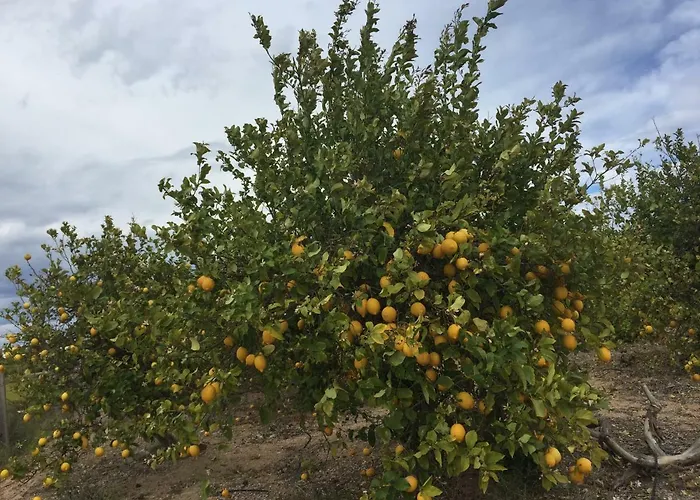 شقة Seafront Dream *