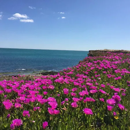 Seafront Dream Апартаменты