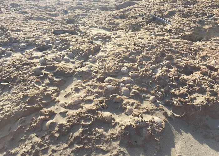 Apartman Seafront Dream